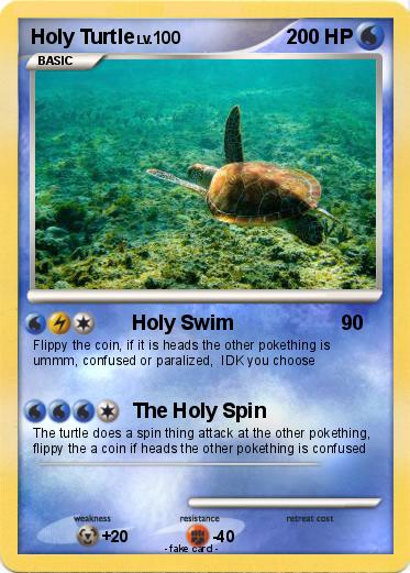 Pokemon Holy Turtle