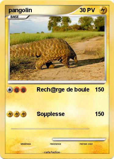 Pokemon pangolin