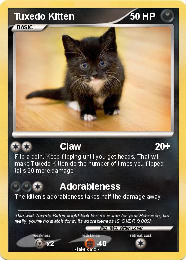 Pokemon Tuxedo Kitten