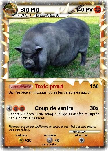 Pokemon Big-Pig