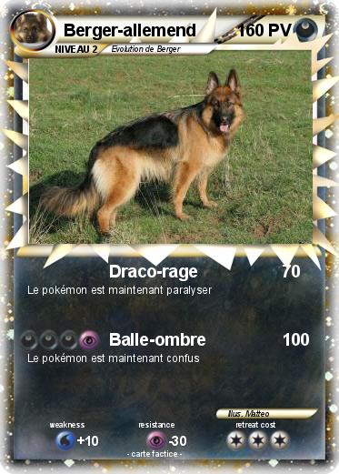 Pokemon Berger-allemend