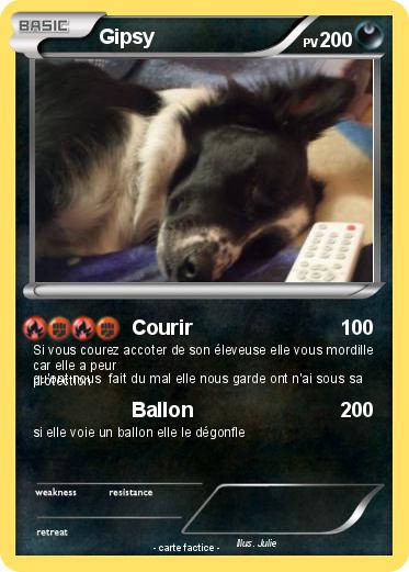 Pokemon Gipsy
