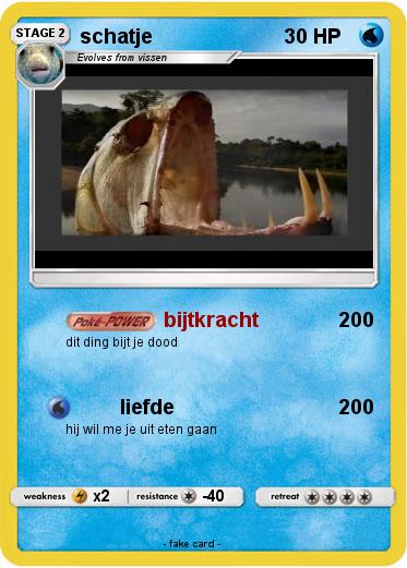 Pokemon schatje