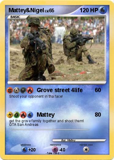 Pokemon Mattey&Nigel