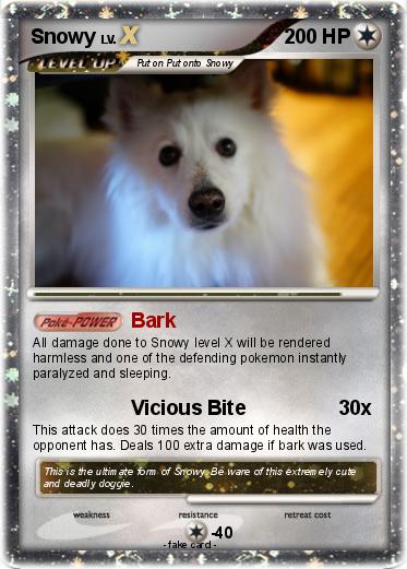 Pokemon Snowy