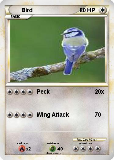 Pokemon Bird