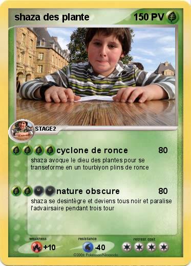 Pokemon shaza des plante