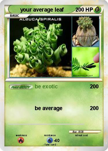 Pokemon your average leaf