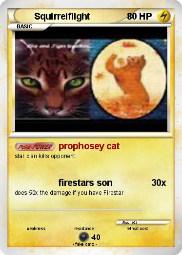 Pokemon Squirrelflight