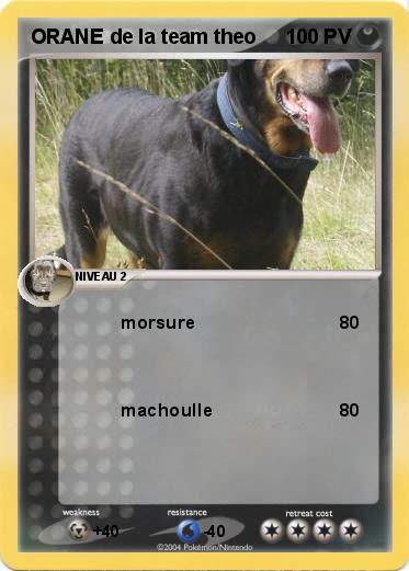 Pokemon ORANE de la team theo