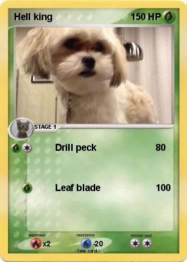 Pokemon Hell king