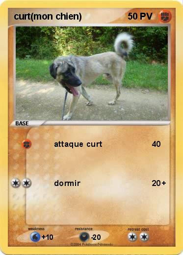 Pokemon curt(mon chien)