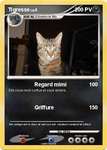 Pokemon Tigresse