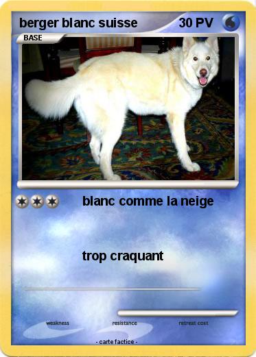 Pokemon berger blanc suisse