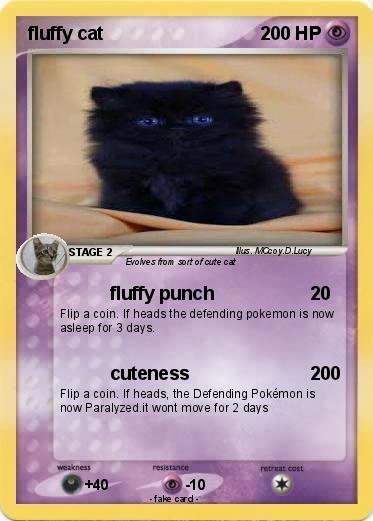 Pokemon fluffy cat