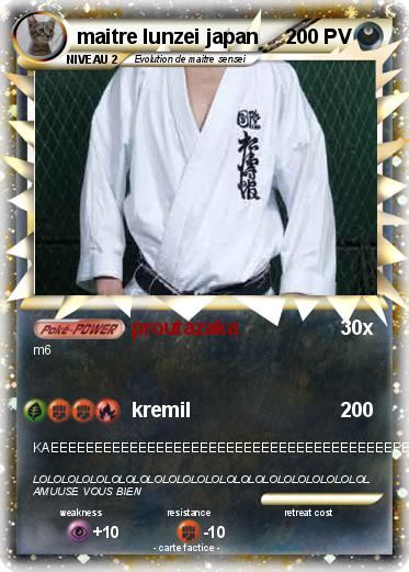 Pokemon maitre lunzei japan