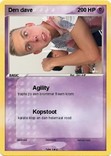 Pokemon Den dave