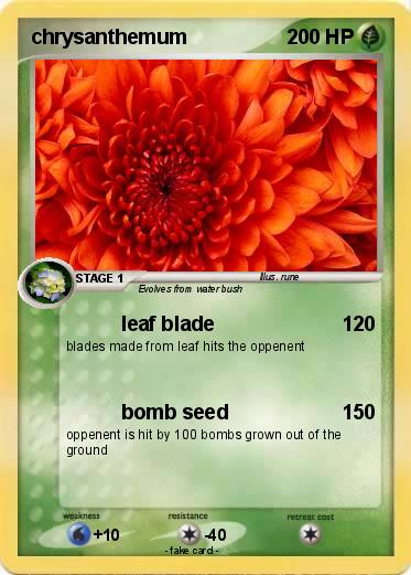 Pokemon chrysanthemum