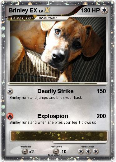 Pokemon Brinley EX