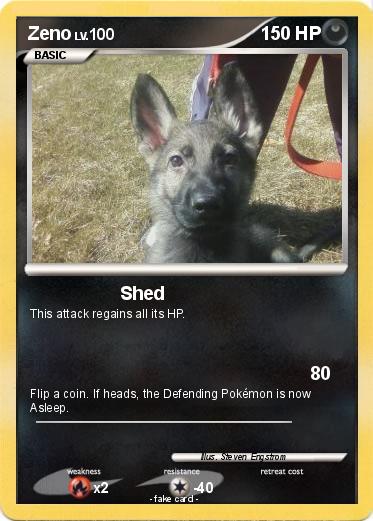 Pokemon Zeno