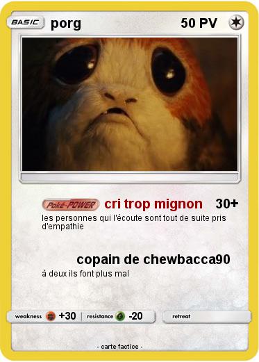 Pokemon porg