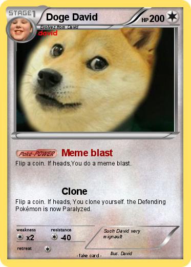 Pokemon Doge David