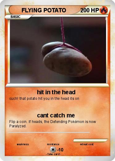 Pokemon FLYING POTATO