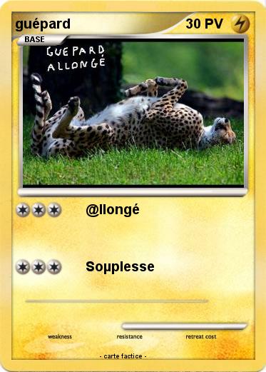 Pokemon guépard