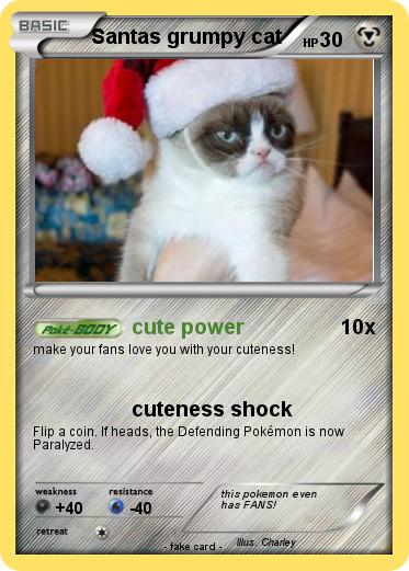 Pokemon Santas grumpy cat