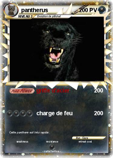 Pokemon pantherus