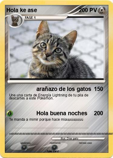 Pokemon Hola ke ase
