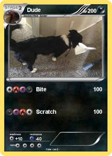 Pokemon Dude