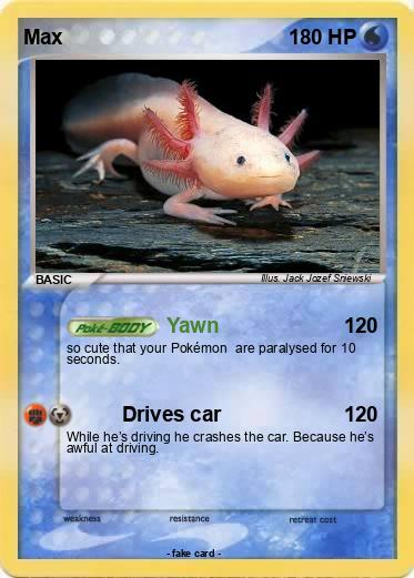 Pokemon Max