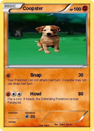 Pokemon Coopster