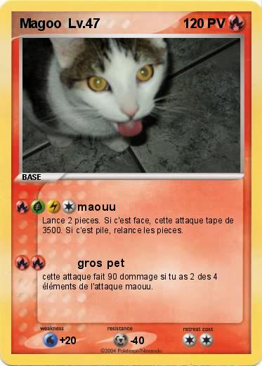 Pokemon Magoo  Lv.47