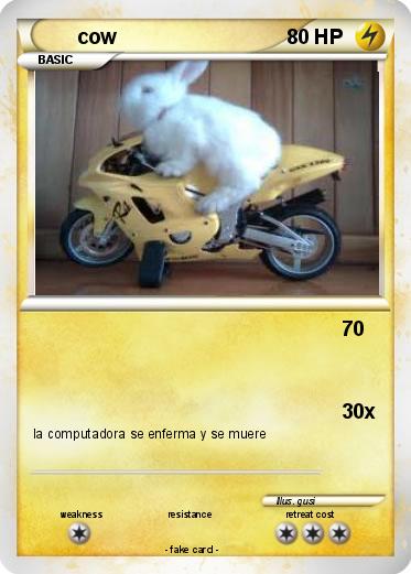 Pokemon cow