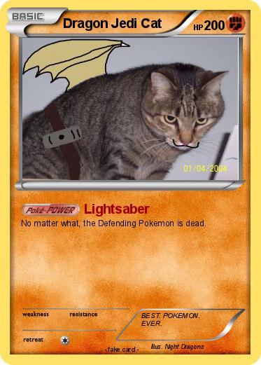 Pokemon Dragon Jedi Cat