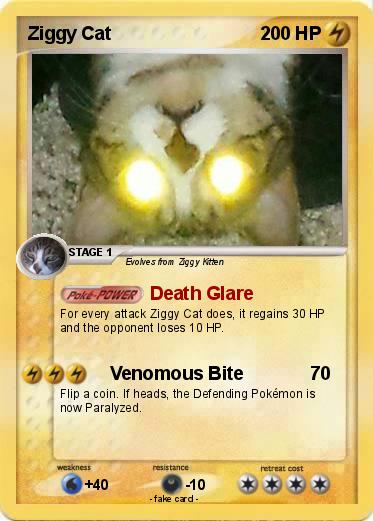 Pokemon Ziggy Cat