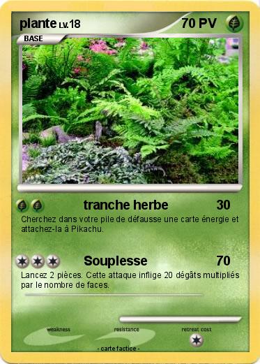 Pokemon plante