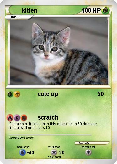 Pokemon kitten