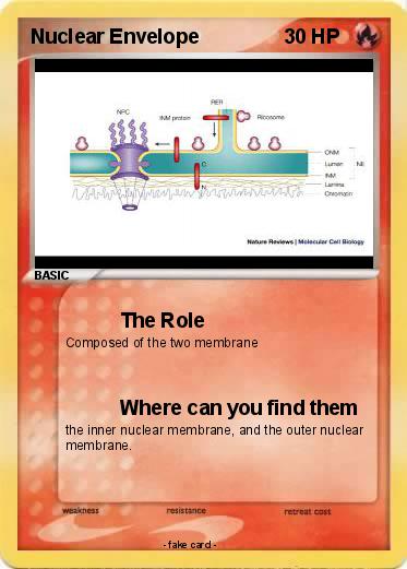Pokemon Nuclear Envelope