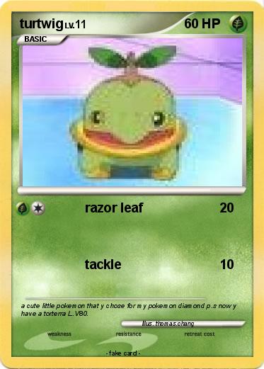 Pokemon turtwig