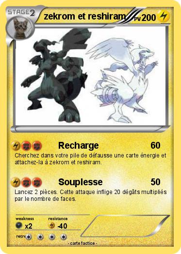 Pokemon zekrom et reshiram
