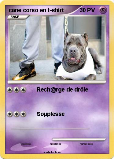 Pokemon cane corso en t-shirt