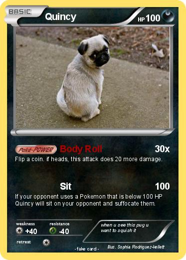 Pokemon Quincy