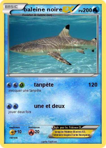 Pokemon baleine noire