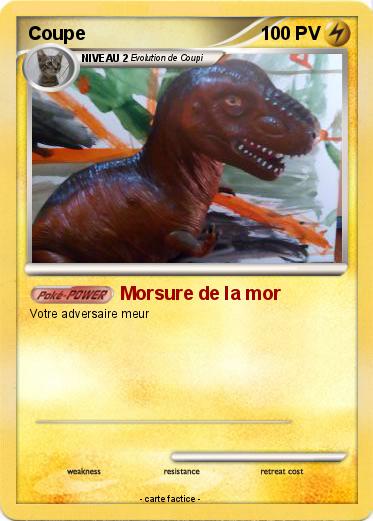 Pokemon Coupe