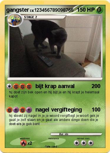 Pokemon gangster