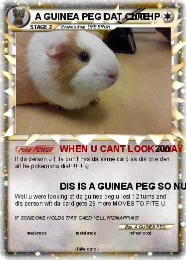 Pokemon A GUINEA PEG DAT CUTE