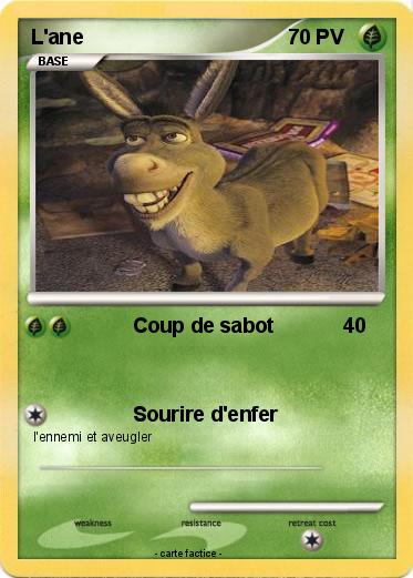 Pokemon L'ane